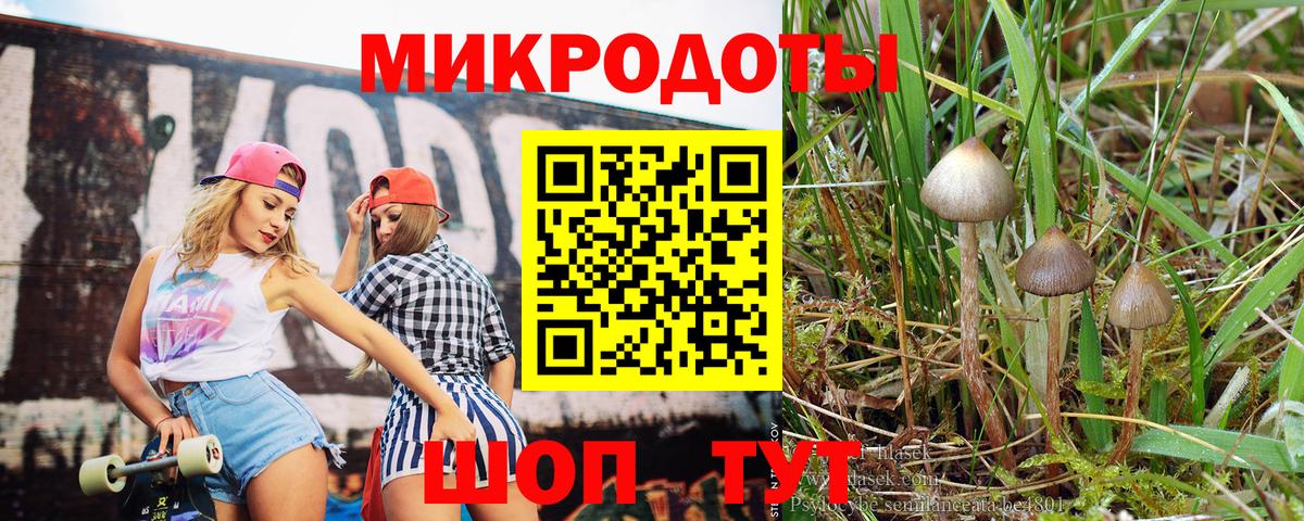 Псилоцибиновые грибы GOLDEN TEACHER  Вход с VPN  где продают   Брянск 